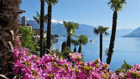 Frühlingserwachen in der Schweiz