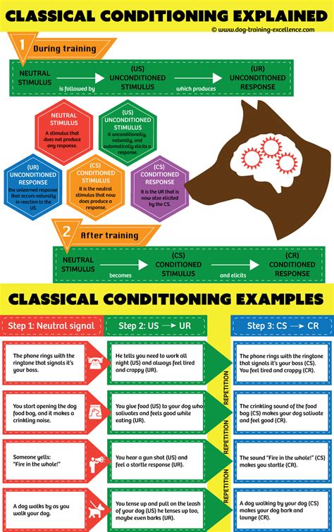 Image result for Classical Conditioning Learning