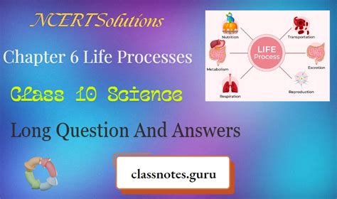 Class 10 Science Chapter 6 All Processes 的图像结果