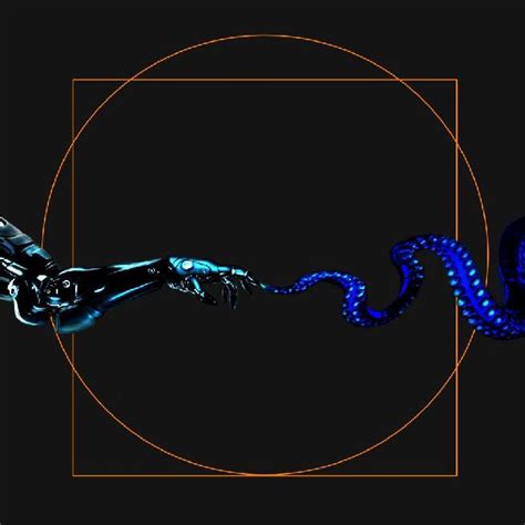 Race Codex Script 的图像结果