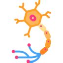 Neuron - Free medical icons