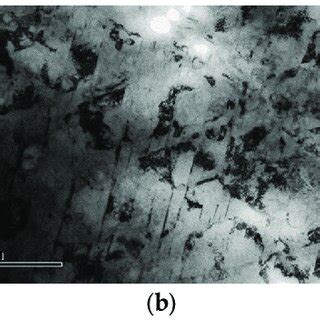 Image result for Selected Area Diffraction Pattern
