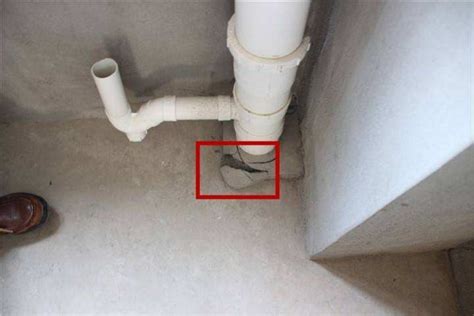 厨房水管漏水怎么办 厨房下水管漏水原因有哪些-楼盘网