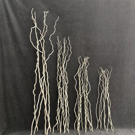 Curly Willow Branches Dried Curly Willow Branches 100% Natural ...