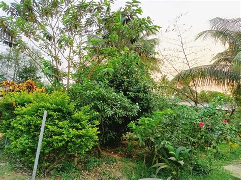 Vivekananda Vidyamandir Kendrapara in Bhagabatpur,Cuttack - Best ...