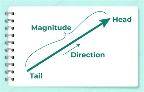 Magnitude of a Vector Function 的图像结果