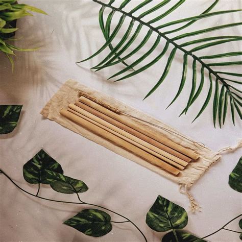 ONEarth - Bamboo Straws with Cleaner - Pack of 2
