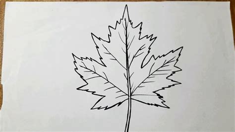 Leaf Drawing Easy How To Make A Leaf Pattern Drawing Tutorial Video