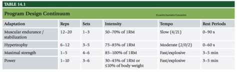 Image result for NASM Program Design Template