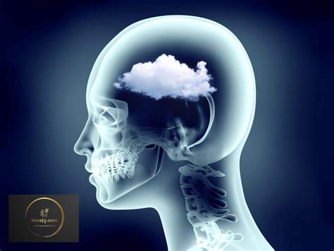 How to Clear Brain Fog and Increase Mental Clarity?