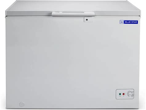 BLUE STAR CHFSD200FHSW Single Door Deep Freezer (200 Ltrs, White ...