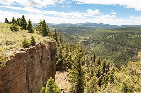 Image result for Introduction of Wolves in Yellowstone