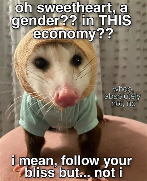 Economy Meme 的图像结果