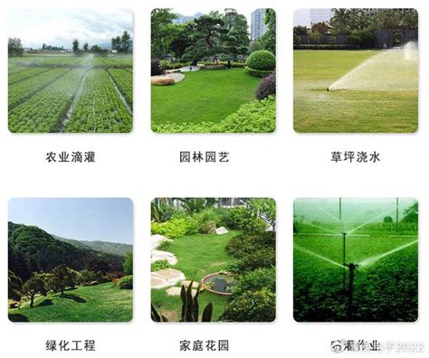 灌溉 的图像结果