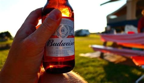 Hoegaarden & Budweiser Might Be Back In The Market As Ban To Be Lifted ...