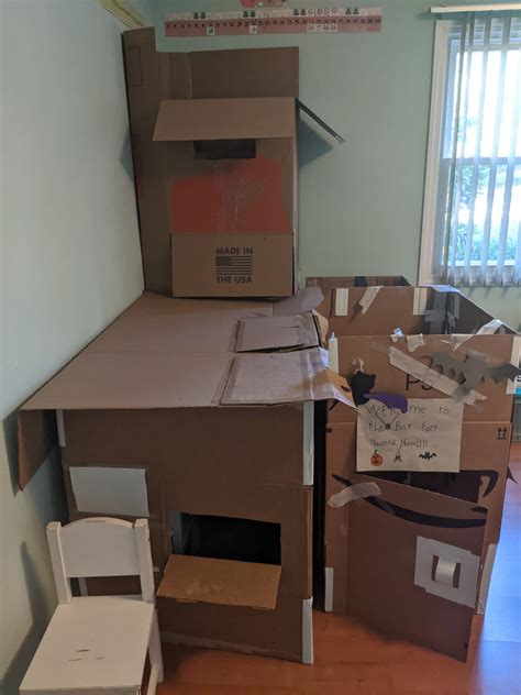 Image result for Box Fort House