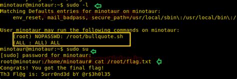 Hack the Minotaur VM (CTF Challenge) - Hacking Articles
