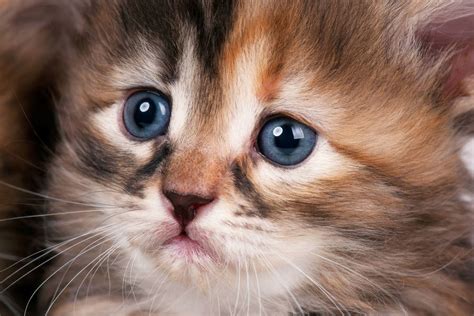 WEEU Listen Live - 830 kHz AM, Reading, United States | Online Radio Box