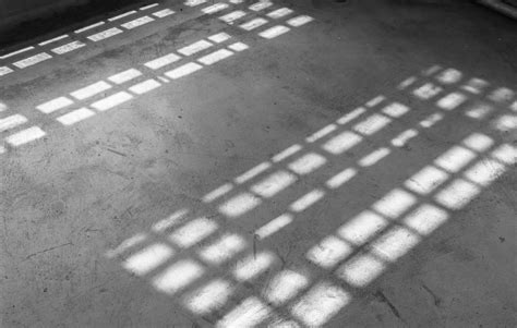 And finally… jailbirds | Scottish Legal News