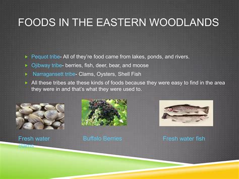 Eastern Woodlands Native Americans | PPTX