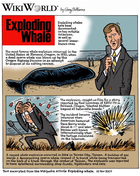 Image result for Whale Carcass Exploding