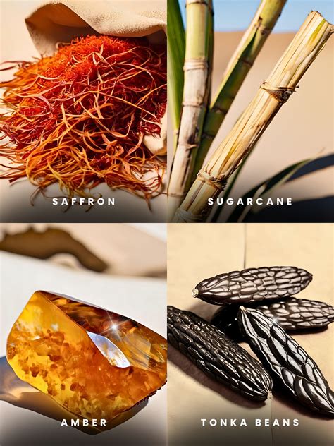 AMBER SANDS - EAU DE PARFUM – Albatross Clothing