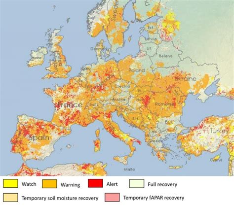 Half of Europe at risk of drought, power generation hit too: Report