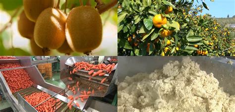Image result for Function Random Names JS