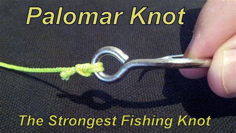 How to tie Palomar Knot - The Strongest Knot from all Fishing Knots ...