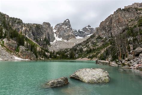 Grand Teton – schneebedeckte Berge, Flüsse, Bisons