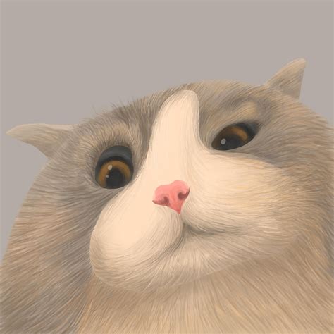 Cat Cartoon Basic 的图像结果