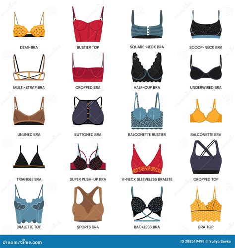 Types of Bras. Big Vector Set of Lingerie. Stock Vector - Illustration ...