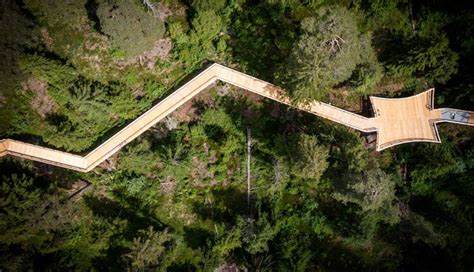6 Unique Treetop Walkways In The World - lifeberrys.com