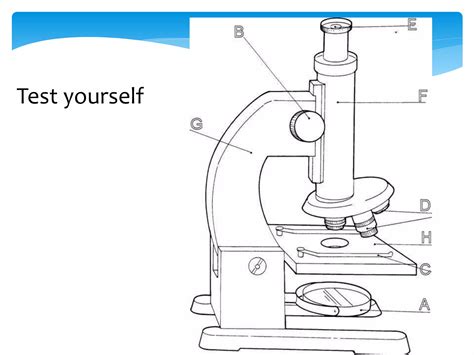 Basic Microscope Use 的图像结果