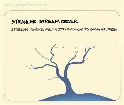 Image result for Stream Order Map