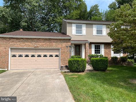 Image result for Tulip Tree CT