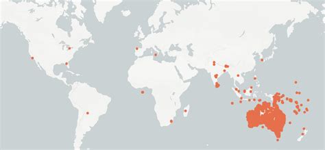 Worldwide habitats of Huntsman Spiders : r/MapPorn