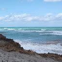 all 101z slots,and mental resilience