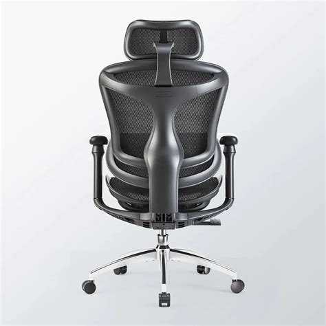 Sihoo Doro C300 Ergonomic Office Chair – EU Sihoo official Shop