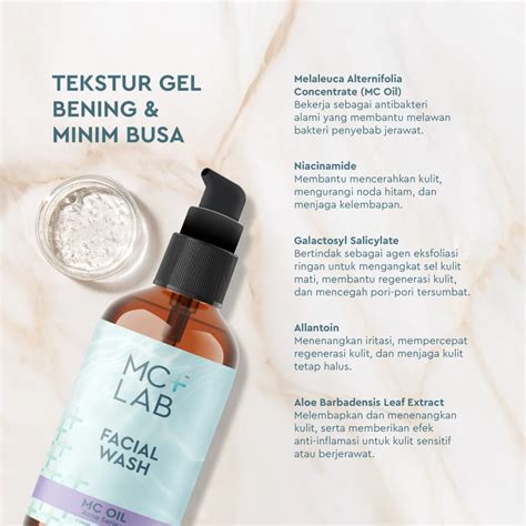 MC Lab Logo 的图像结果