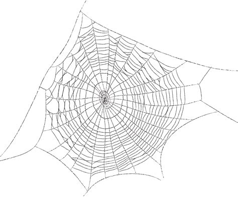 Spider web Web decoration - Spider web spider web pattern cartoon png ...