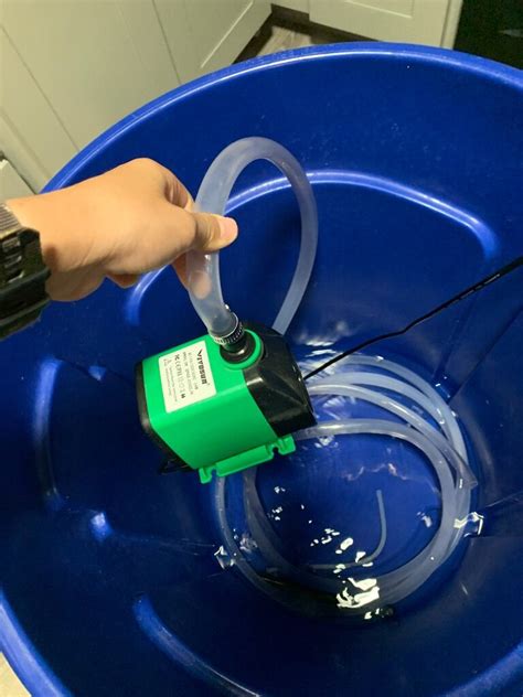 Python Aquarium System 的图像结果