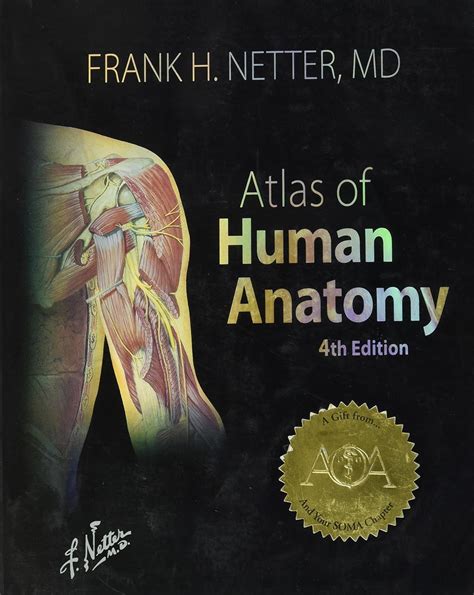 Frank Netter Atlas at Ina Peterson blog