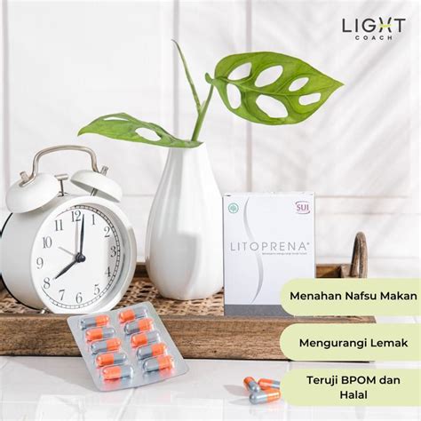 Jual Litoprena Herbal | Penunda Lapar | Pembakar Lemak Diet | Fat ...