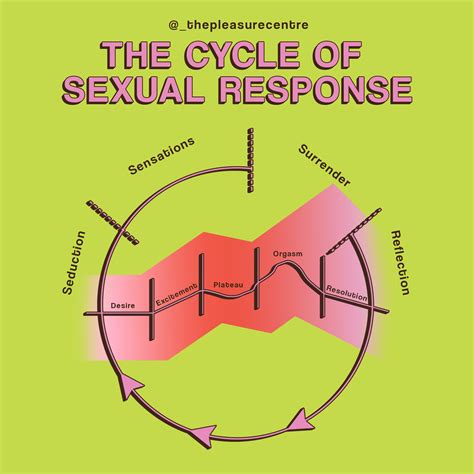 How does Sexual Response work? — The Pleasure Centre