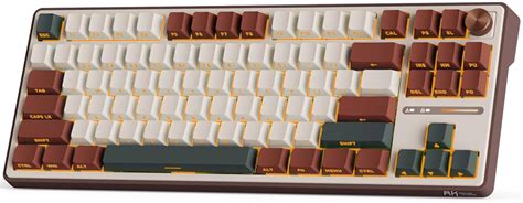 Amazon.in: Buy RK ROYAL KLUDGE R87 Pro Wireless Mechanical Keyboard, 75 ...