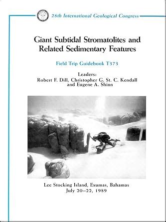 Buy Giant Subtidal Stromatolites and Related Sedimentary Features: Lee ...