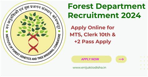 Forest Department Recruitment 2024 - Apply Online for MTS, Clerk ...