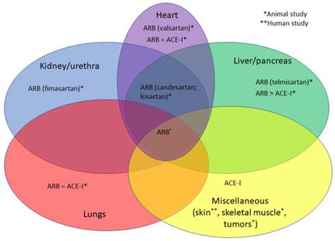 Biomedicines | Special Issue : 10th Anniversary of Biomedicines—from ...