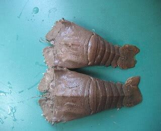 Lobster - Suppliers, exporters and wholesalers in Mumbai | Castlerock